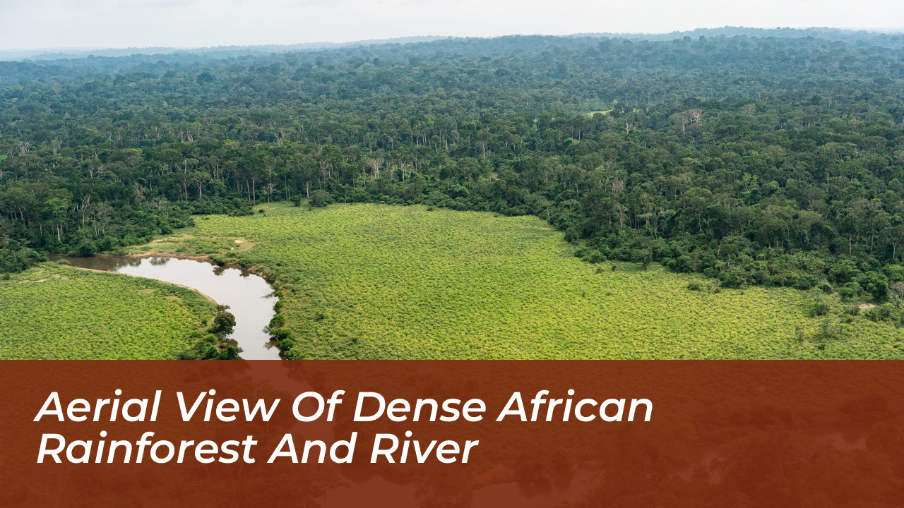 Military Plane Crash Kills 13 in DRC: Kwango Incident Details 5 Aerial View of Dense African Rainforest and River