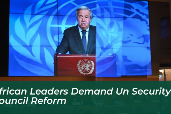 african leaders demand un security council reform wqaN