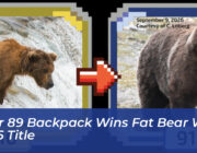 bear 89 backpack wins fat bear week 2026 title YsKy