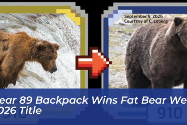 bear 89 backpack wins fat bear week 2026 title YsKy