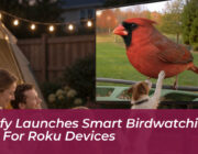 birdfy launches smart birdwatching app for roku devices jAPs