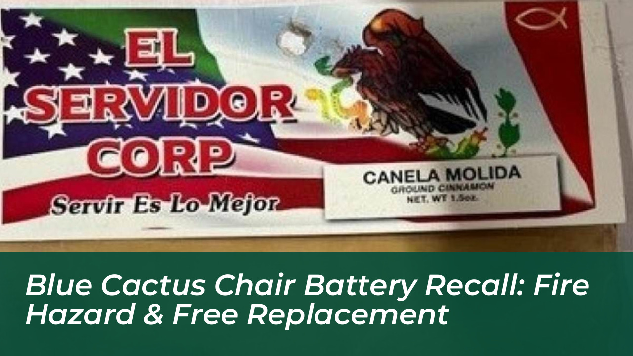 blue cactus chair battery recall fire hazard free replacement OYXQ