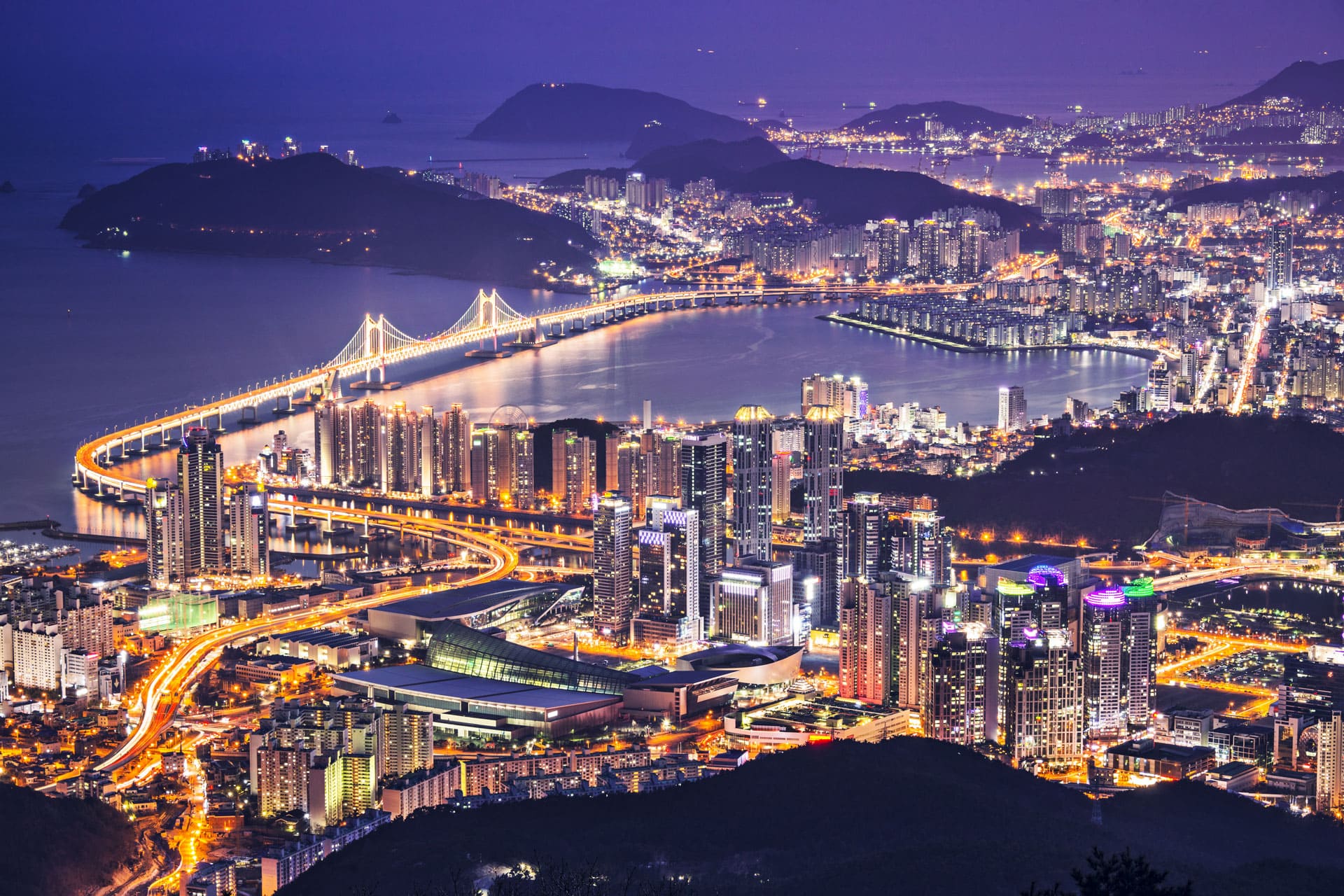 Busan North Port Artificial Waterway Shark Rescue Operation