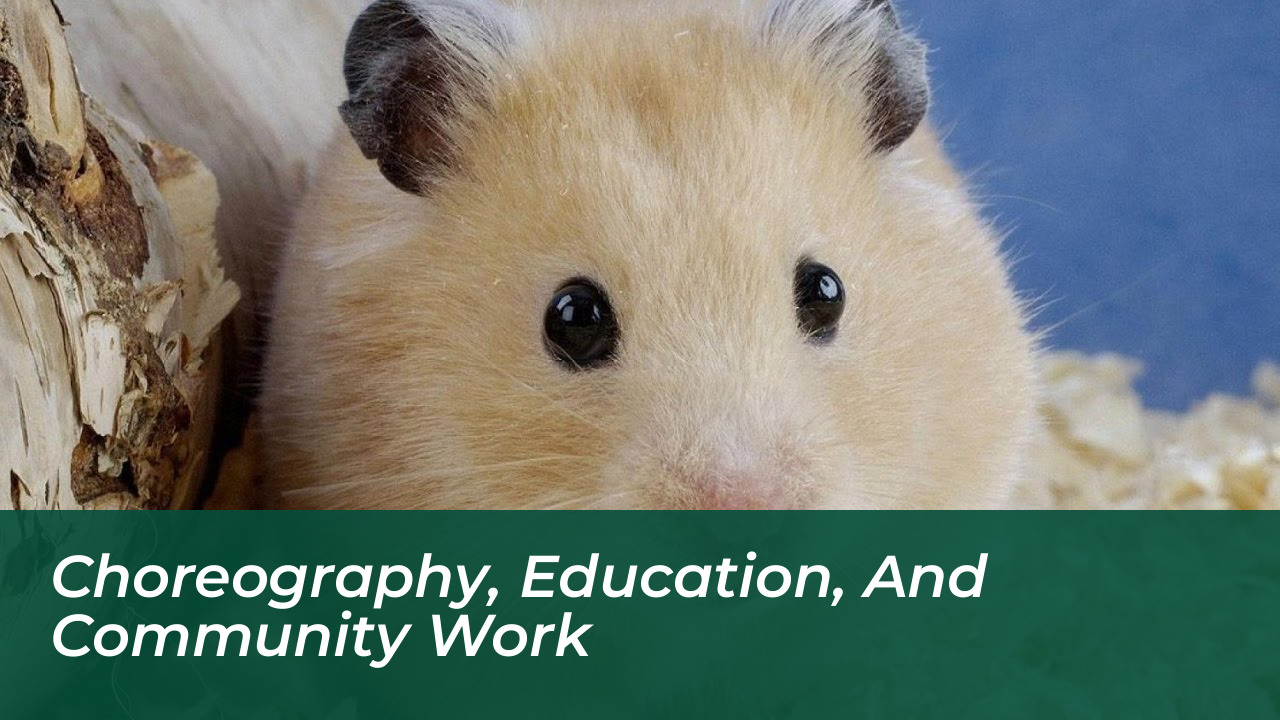 Choreography, Education, and Community Work