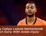 cody gakpo leaves netherlands match early with ankle injury ezWx