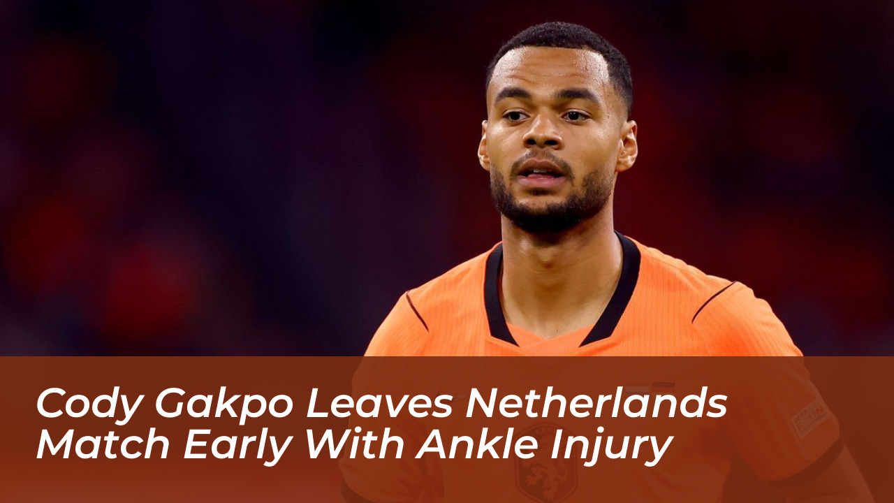 cody gakpo leaves netherlands match early with ankle injury