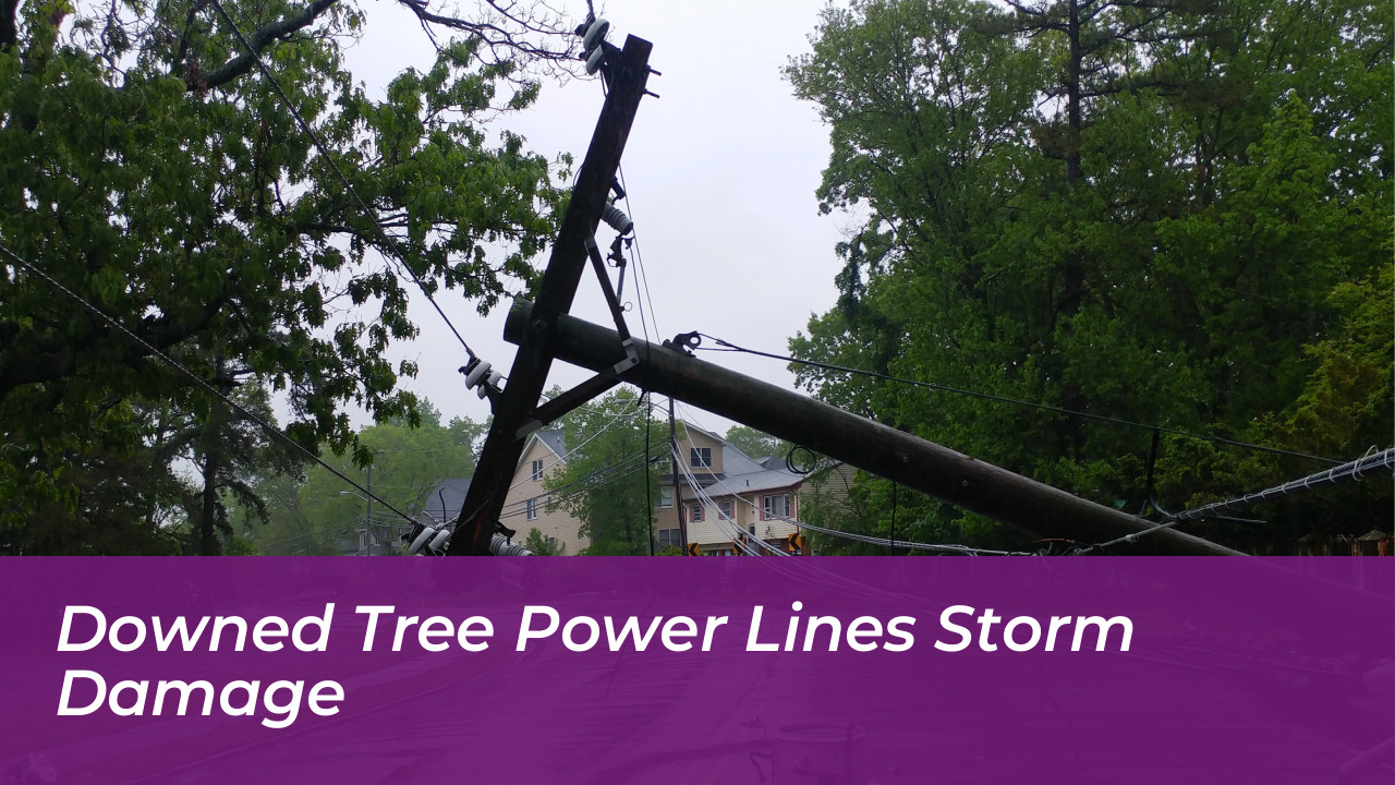 East Coast Nor'easter: Flooding and Winds Threaten US Shores 3 Downed Tree Power Lines Storm Damage