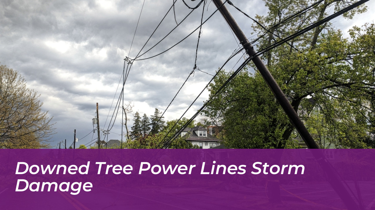 Northeast Nor'easter Brings Severe Flooding and Power Outages 3 Downed Tree Power Lines Storm Damage