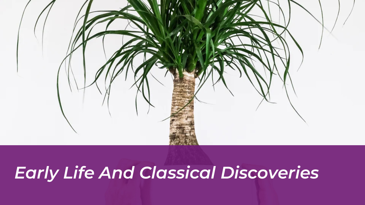 Melani García Gaspar: Age, Eurovision, Net Worth & Bio 4 Early Life and Classical Discoveries