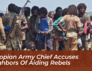 ethiopian army chief accuses neighbors of aiding rebels oPT5