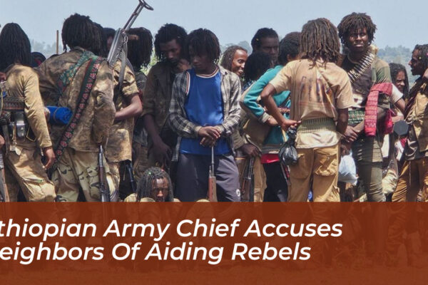 ethiopian army chief accuses neighbors of aiding rebels oPT5