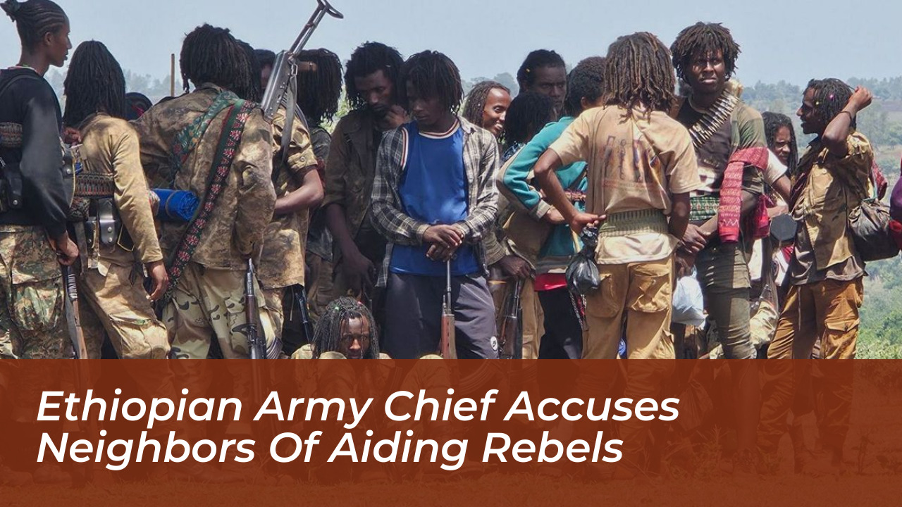ethiopian army chief accuses neighbors of aiding rebels oPT5