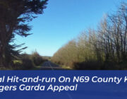 fatal hit and run on n69 county kerry triggers garda appeal C9vU