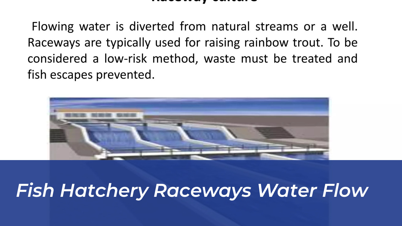 Colorado Parks and Wildlife Proposes Arkansas River Rules 3 Fish Hatchery Raceways Water Flow
