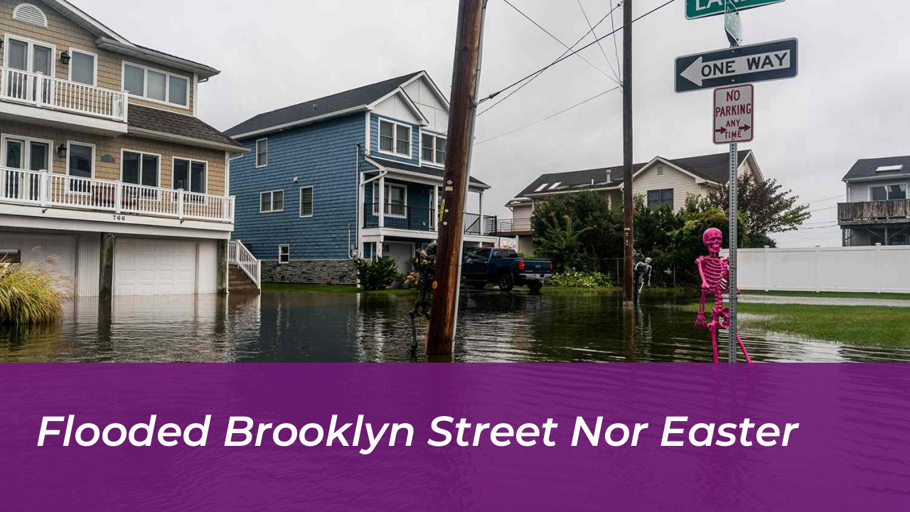 NYCHA Worker Killed by Falling Tree During Brooklyn Nor'easter 3 Flooded Brooklyn Street Nor Easter
