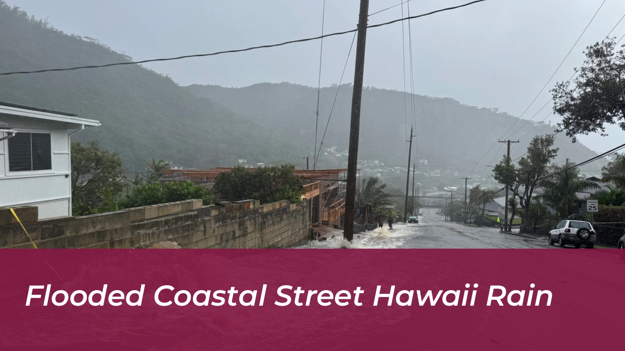 Flooded Coastal Street Hawaii Rain