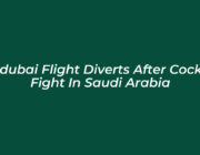 flydubai flight diverts after cockpit fight in saudi arabia k0g9