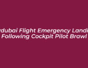 flydubai flight emergency landing following cockpit pilot brawl iBts