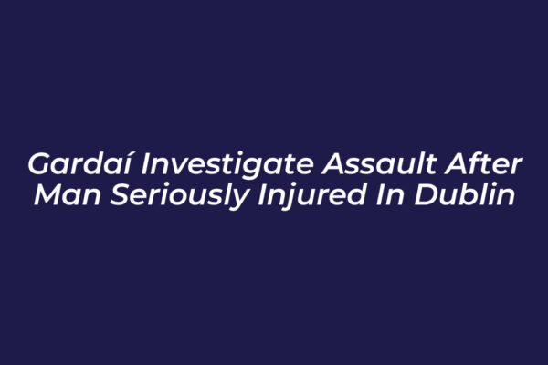 gardai investigate assault after man seriously injured in dublin RMOy