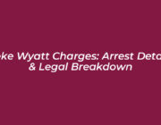 keke wyatt charges arrest details legal breakdown PNrk