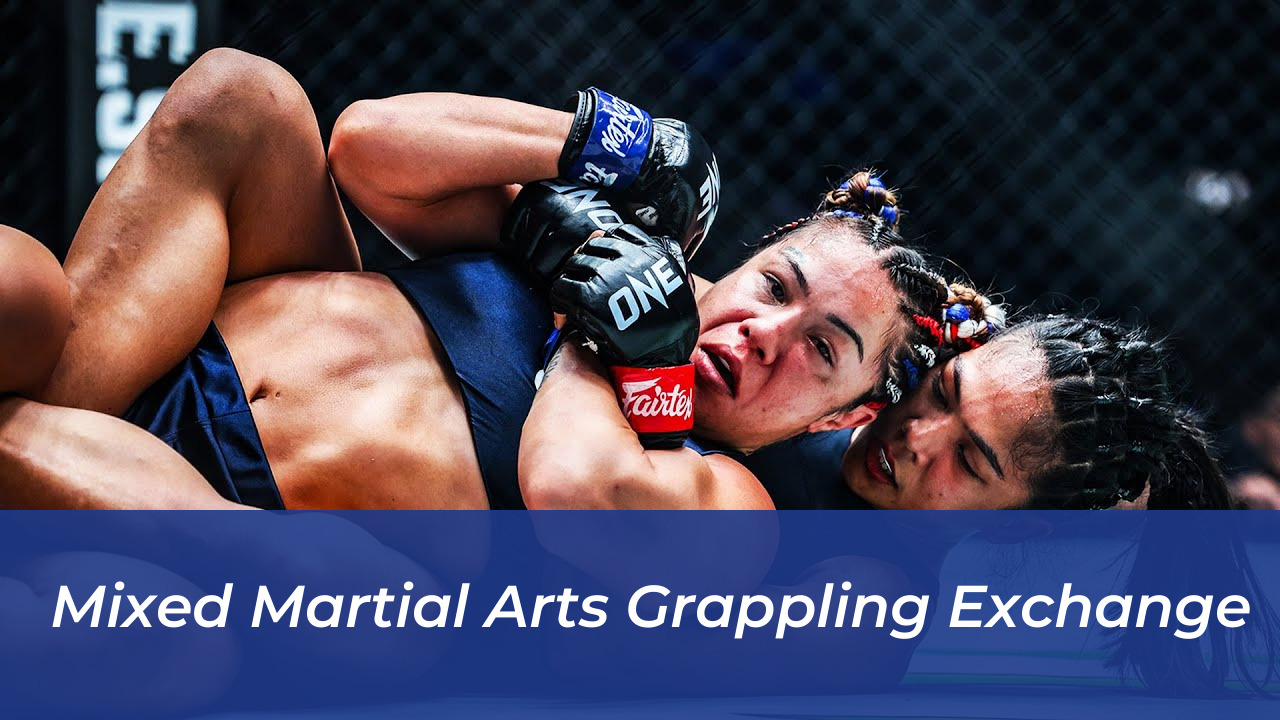 Mixed Martial Arts Grappling Exchange