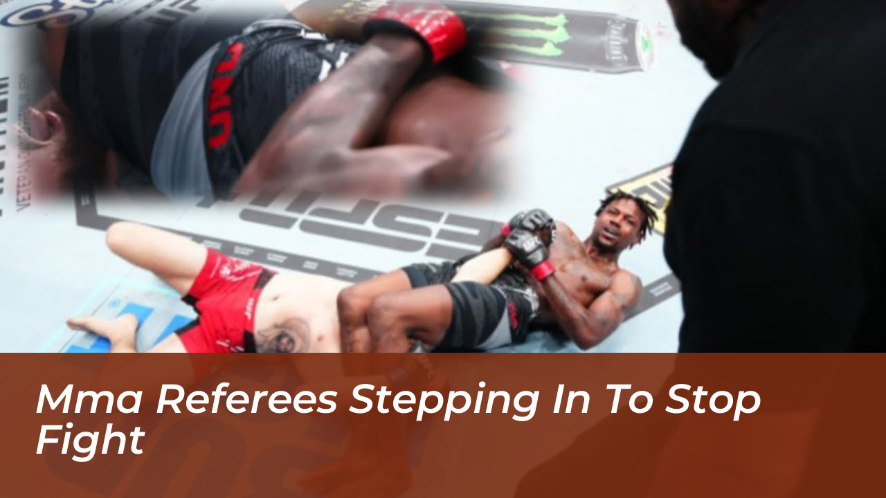 MMA Referees Stepping In To Stop Fight