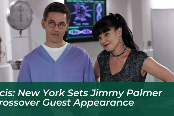 ncis new york sets jimmy palmer crossover guest appearance TDKS