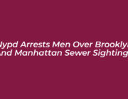 nypd arrests men over brooklyn and manhattan sewer sightings b1uM