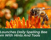 nyt launches daily spelling bee forum with hints and tools Wve2