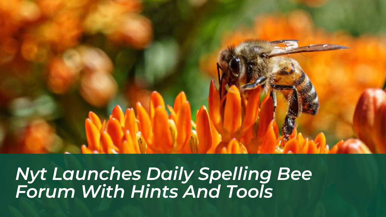 nyt launches daily spelling bee forum with hints and tools Wve2