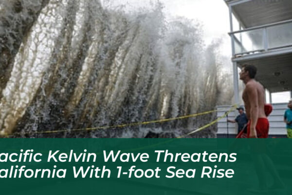 pacific kelvin wave threatens california with 1 foot sea rise Indn