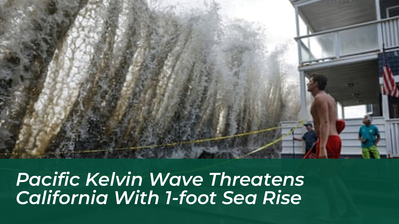 pacific kelvin wave threatens california with 1 foot sea rise Indn