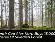 palantir ceo alex karp buys 15000 hectares of swedish forest 2JRx