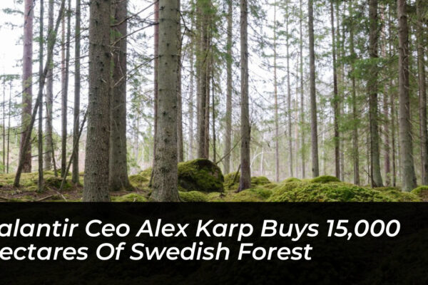 palantir ceo alex karp buys 15000 hectares of swedish forest 2JRx