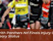 penrith panthers nrl finals injury crisis cleary status WLm5