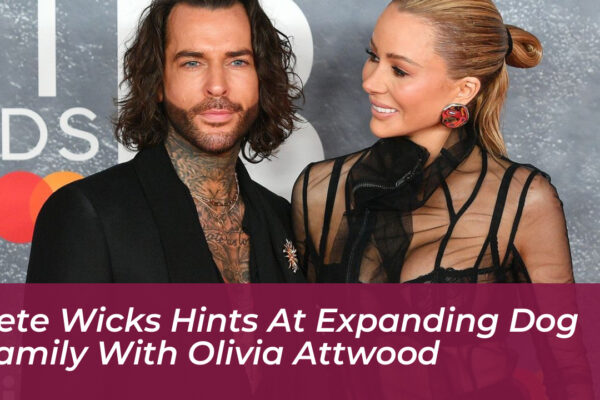 pete wicks hints at expanding dog family with olivia attwood 3uge