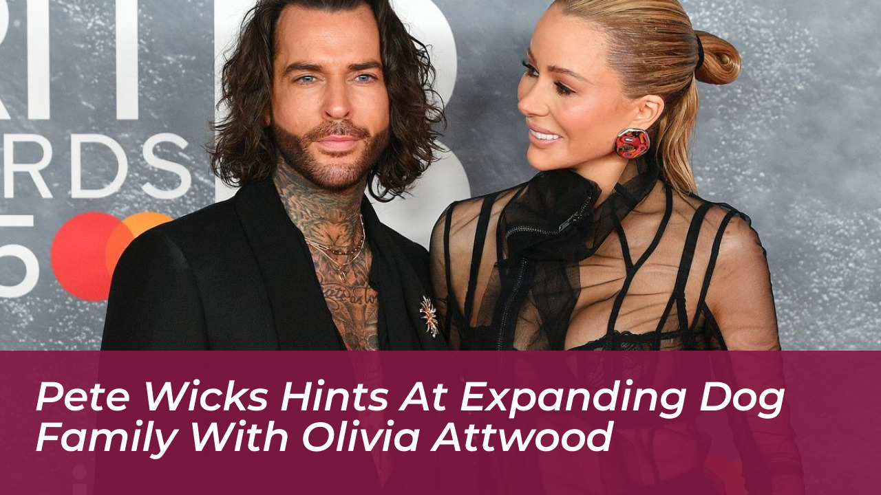 pete wicks hints at expanding dog family with olivia attwood 3uge
