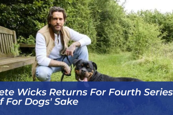pete wicks returns for fourth series of for dogs sake cvjB