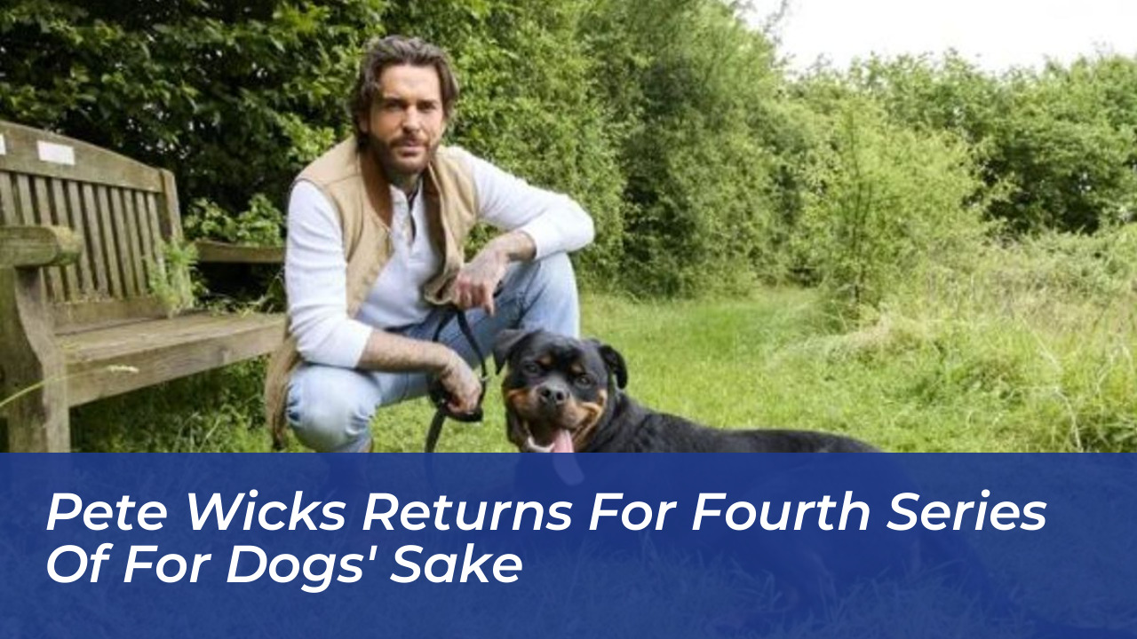 pete wicks returns for fourth series of for dogs sake cvjB