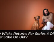 pete wicks returns for series 4 of for dogs sake on uktv kJMH