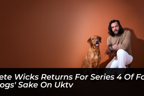 pete wicks returns for series 4 of for dogs sake on uktv kJMH