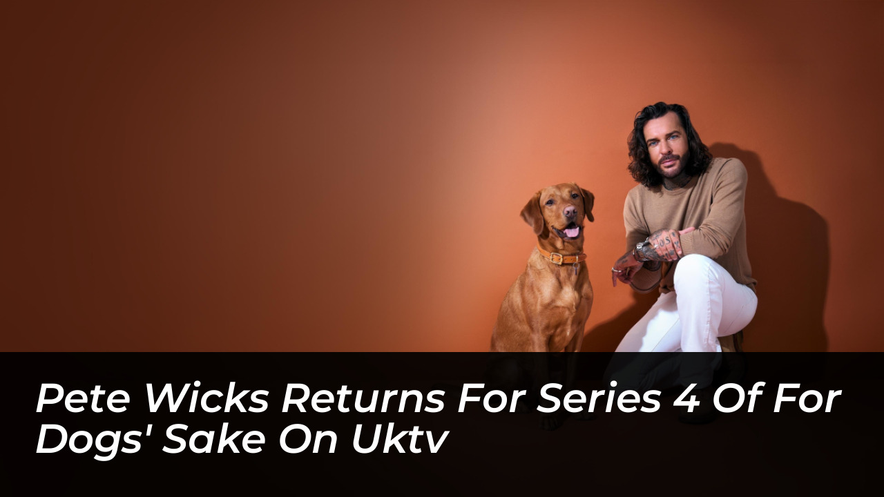 pete wicks returns for series 4 of for dogs sake on uktv kJMH