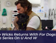 pete wicks returns with for dogs sake series on u and w 9rY3