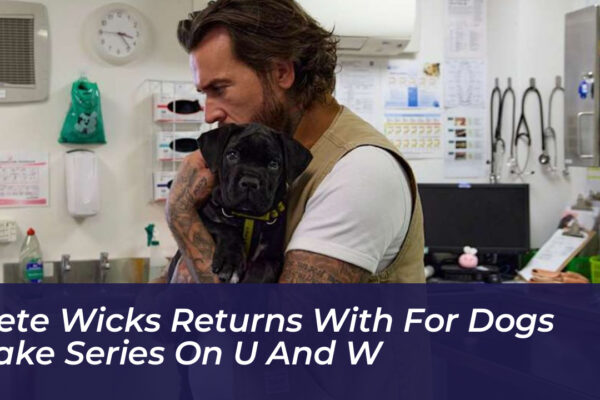 pete wicks returns with for dogs sake series on u and w 9rY3