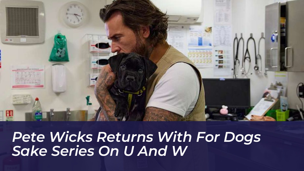pete wicks returns with for dogs sake series on u and w 9rY3