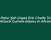 peter ijeh urges eric chelle to attack guinea bissau in afcon mvuK