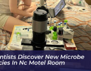 scientists discover new microbe species in nc motel room telI