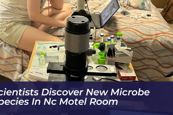 scientists discover new microbe species in nc motel room telI