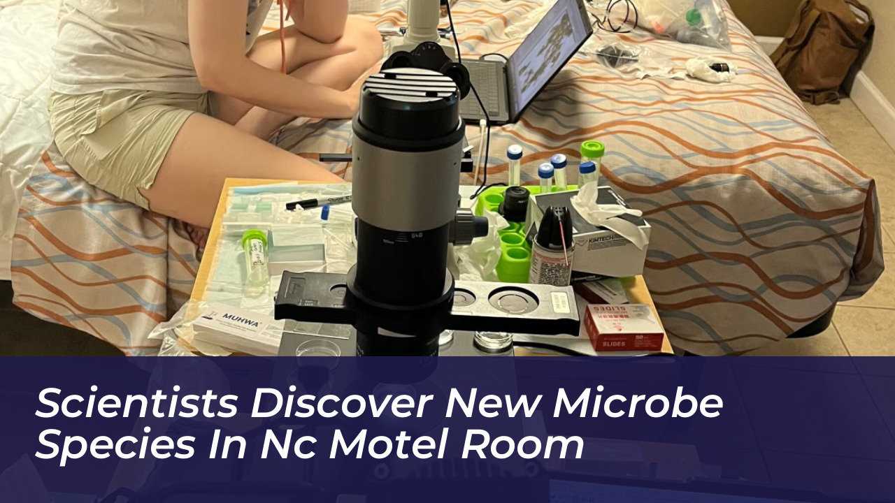 scientists discover new microbe species in nc motel room telI