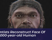 scientists reconstruct face of 300000 year old human UOcj